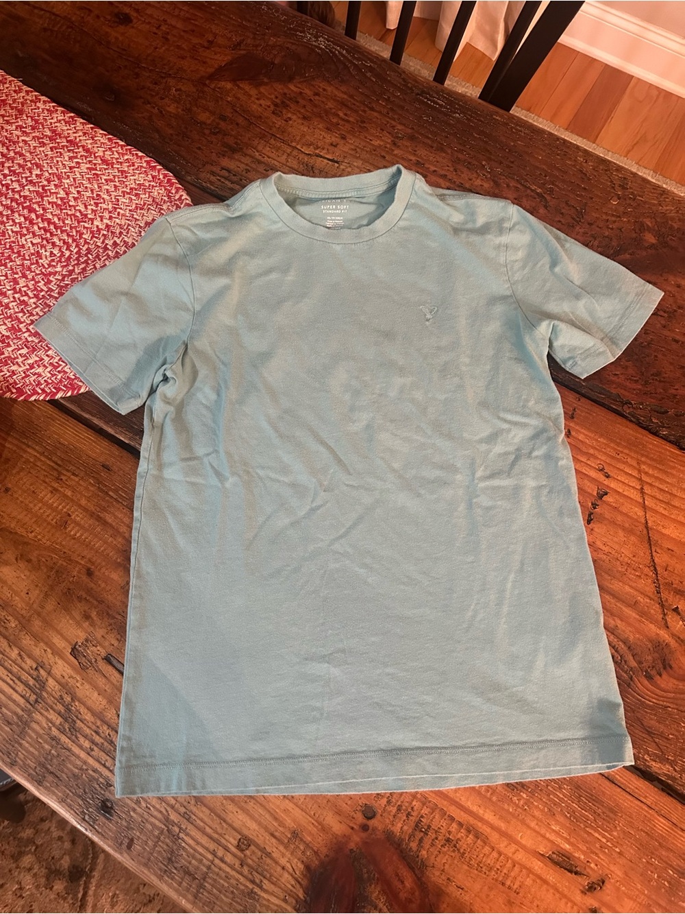 American Eagle Classic Crewneck T-Shirt in Light Blue - Men's